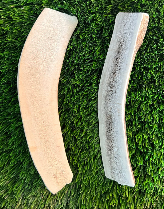 Elk Antlers - 6-7" Split